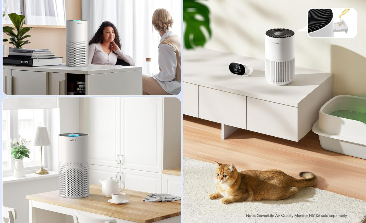 2024’s Smart Air Purifiers: Top Picks for Healthier, Cleaner Air