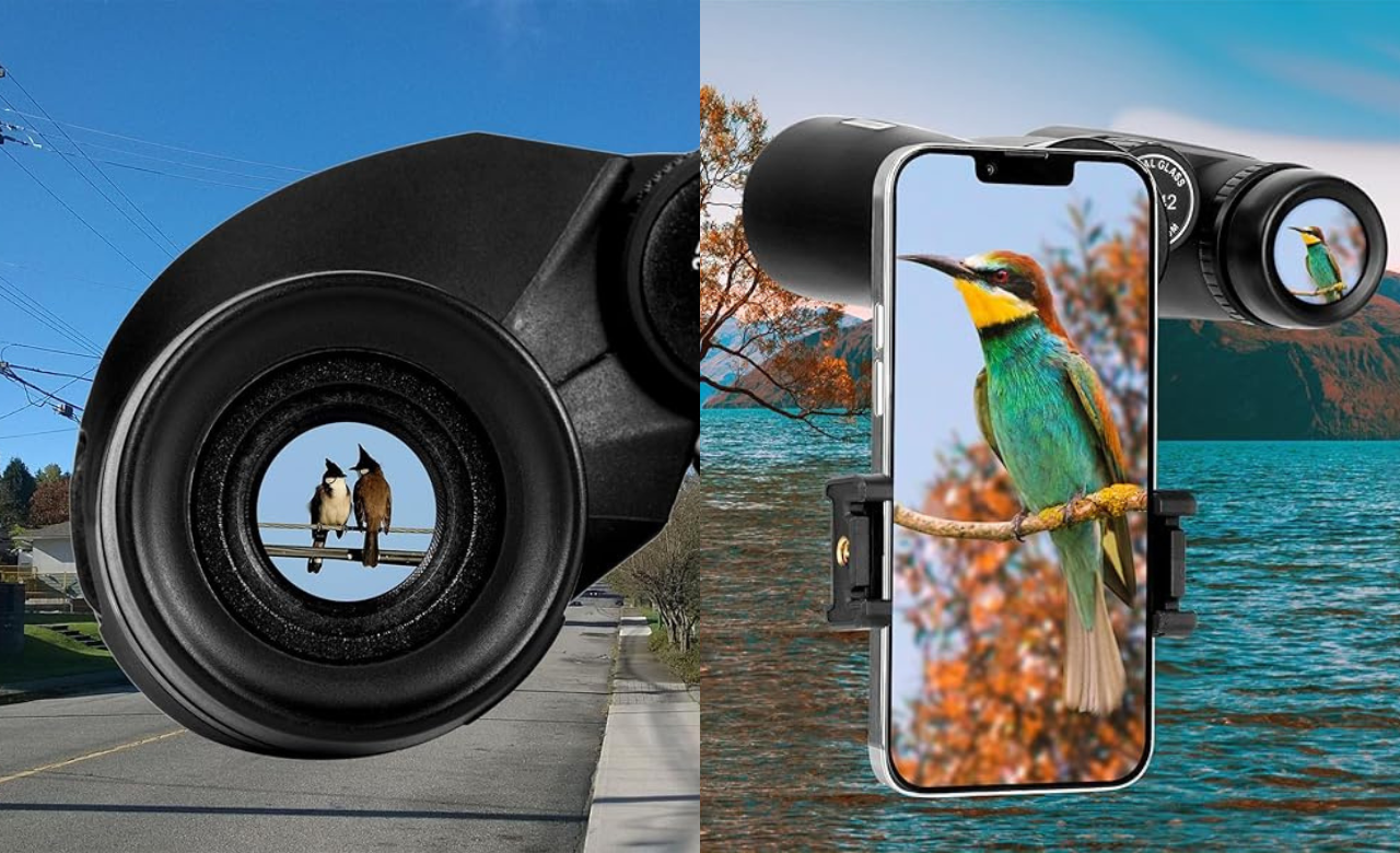 Best Binoculars 2024: Top Picks for Outdoor Adventures and Stargazing