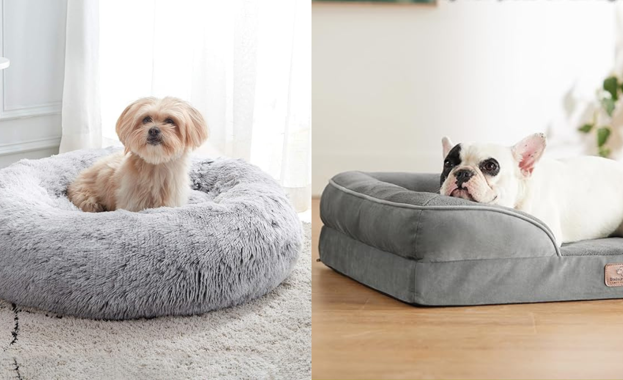 Top 5 Best Pet Beds of 2024: Comfort and Support for Your Furry Friend