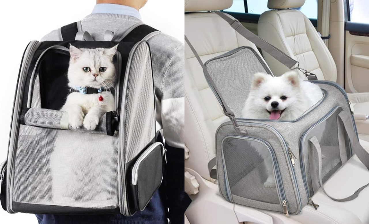 Top 5 Best Pet Travel Carriers of 2024: Comfort and Security for Safe Journeys