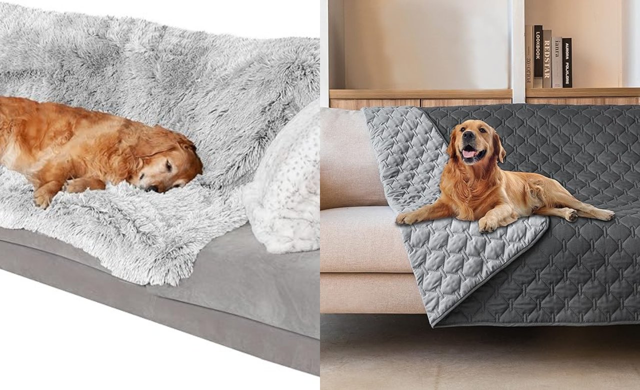 Best Waterproof Pet Blankets to Buy in 2024: Cozy, Washable, and Protective