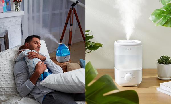 Best Humidifiers for homes of 2024